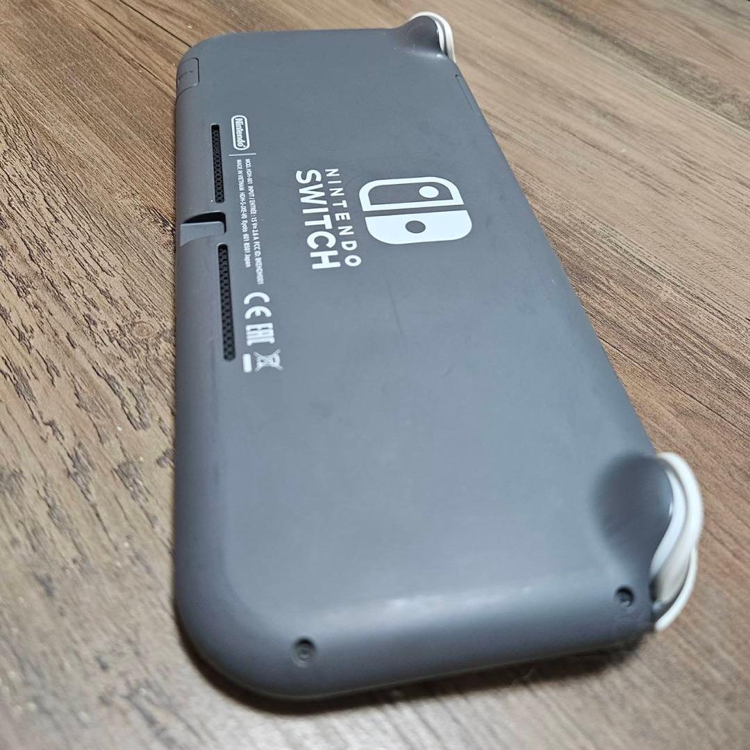 任天堂Switch Lite本体+マインクラフトソフト+SDカード+ケース付き