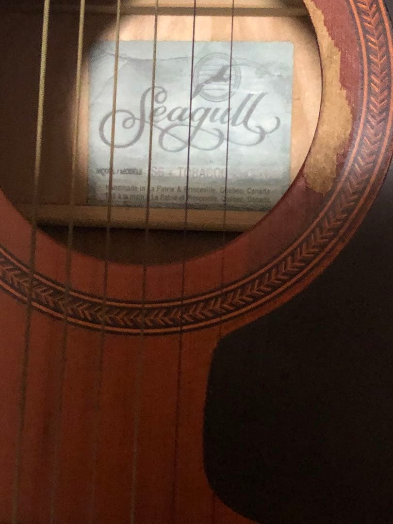 アコギ 中古 Seagull S6 + Tobacco Burst