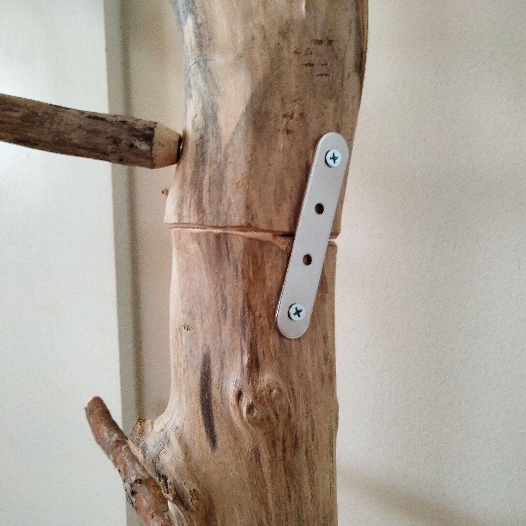 ocean バードアスレチックジム 天然木 自然木 流木 止まり木 インコ