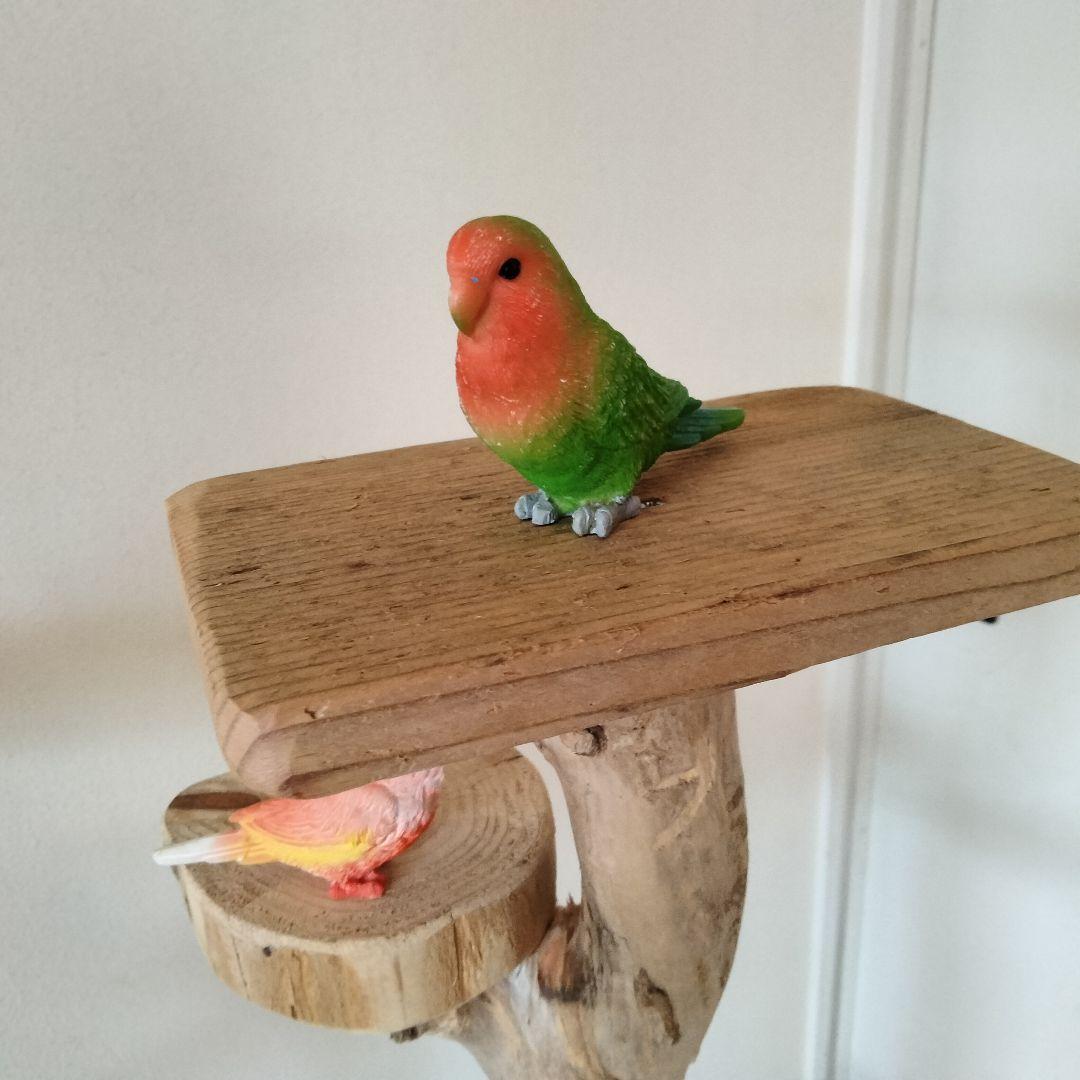 ocean バードアスレチックジム 天然木 自然木 流木 止まり木 インコ