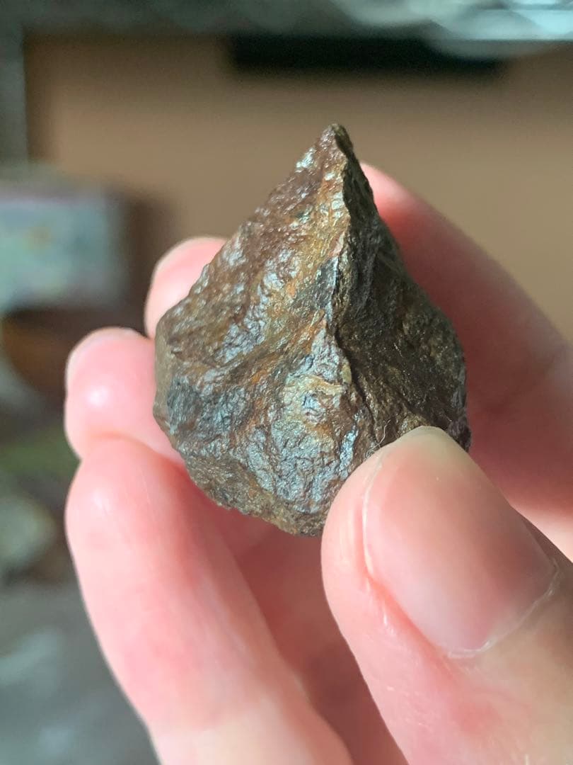 世界最古の石　46億年前の隕石コンドライト　太陽系最古の隕石　石質隕石　鉄隕石