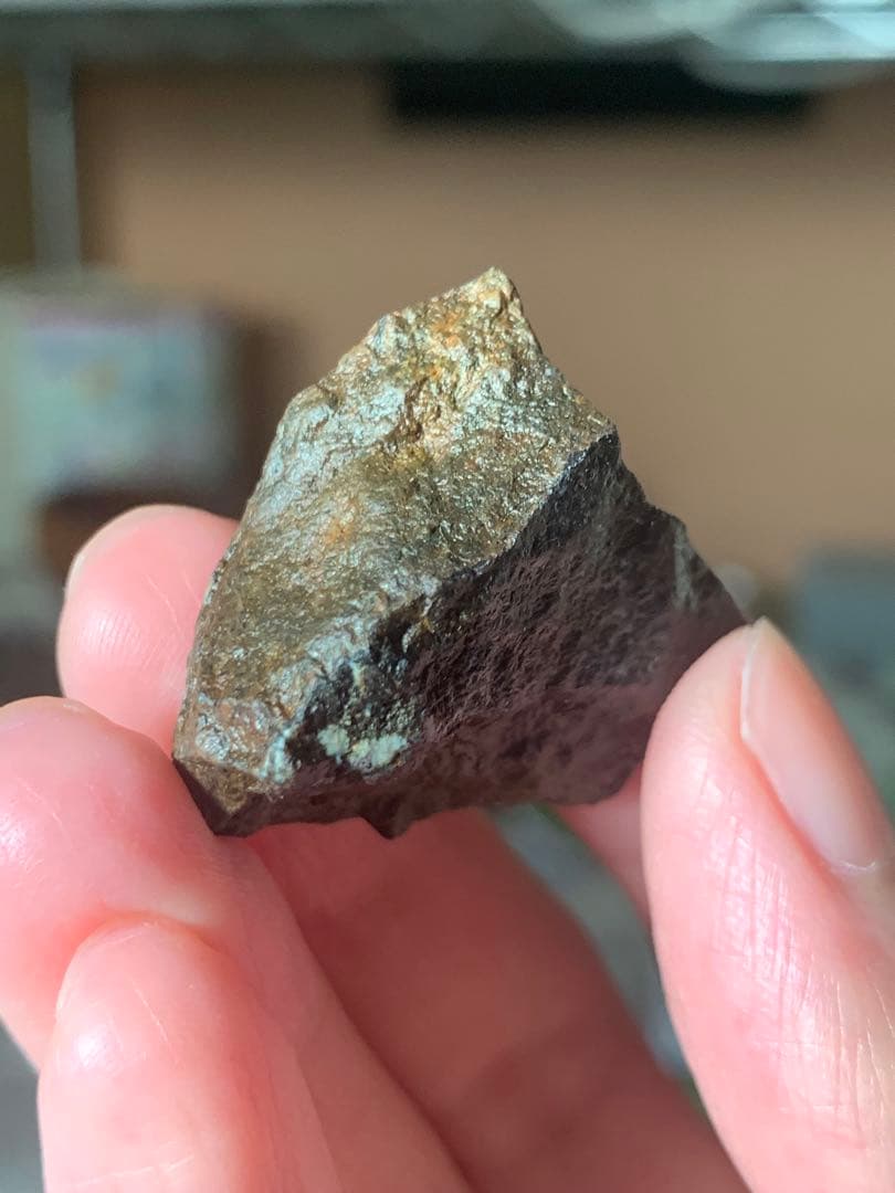 世界最古の石　46億年前の隕石コンドライト　太陽系最古の隕石　石質隕石　鉄隕石