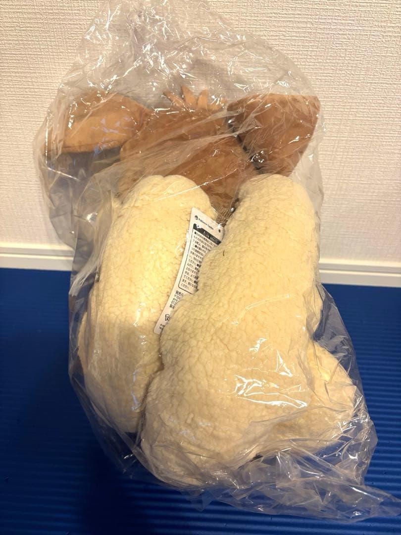 イーブイリュック　新品未開封　ボタン