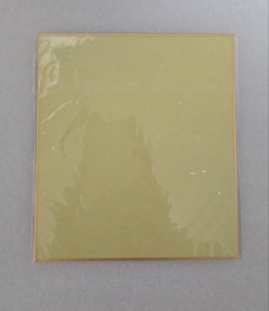 ジャンプフェスタ 2025 ルリドラゴン 複製ミニ色紙 応募者全員サービス