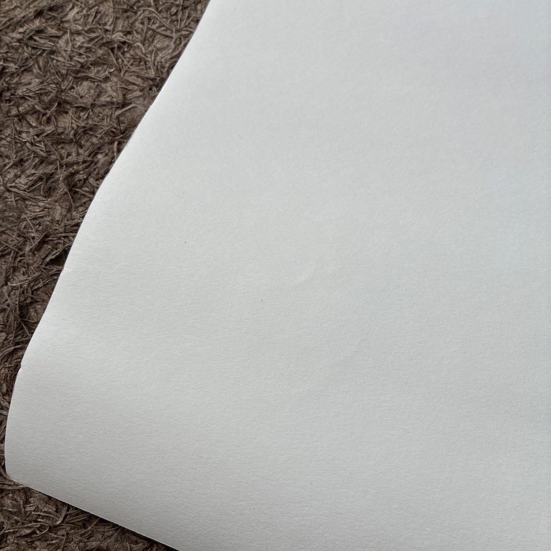 チャーリー・ブラウン VS スヌーピー ポスター