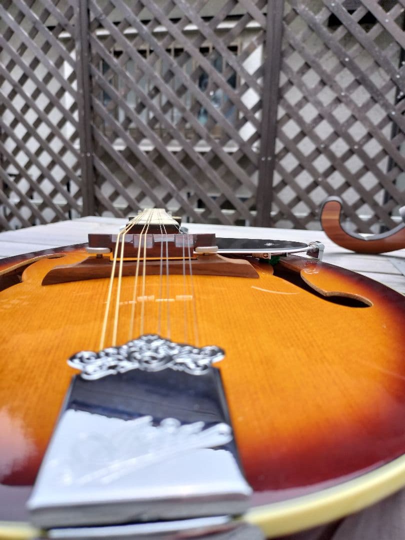 美品　Aria フラットマンドリン 　サンバースト