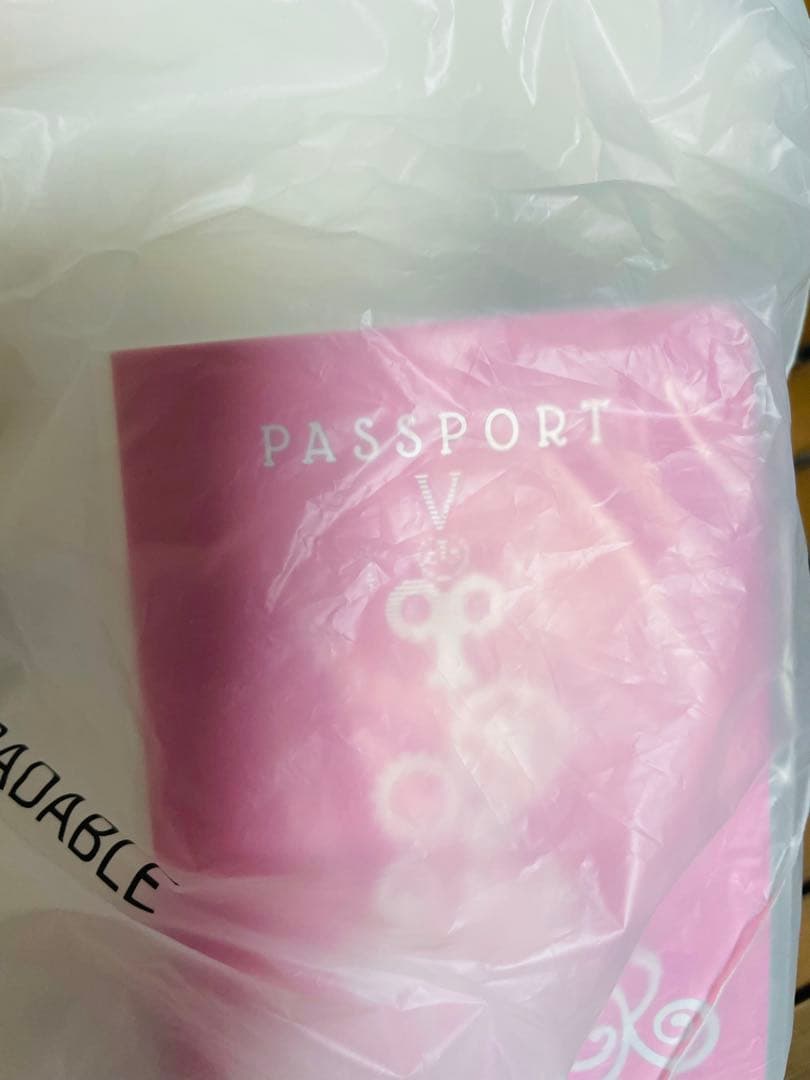 スキズ　straykids SKZOO ジニレット テディベア　ペンミ　新品