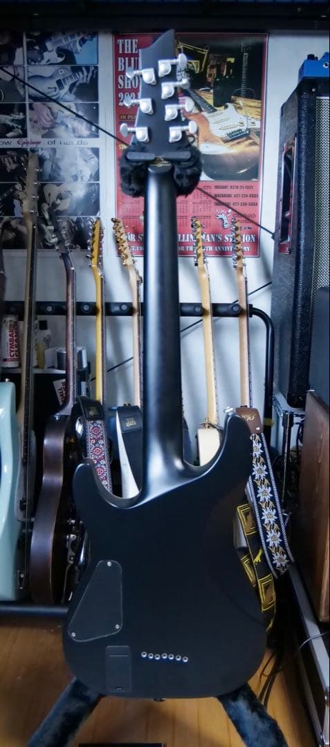 SCHECTER DAMIEN PLATINUM-7 SBK 7弦