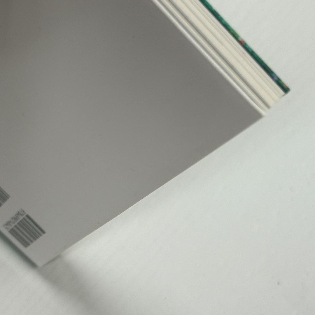 生頼範義展 図録 THE ILLUSTRATOR 上野の森美術館