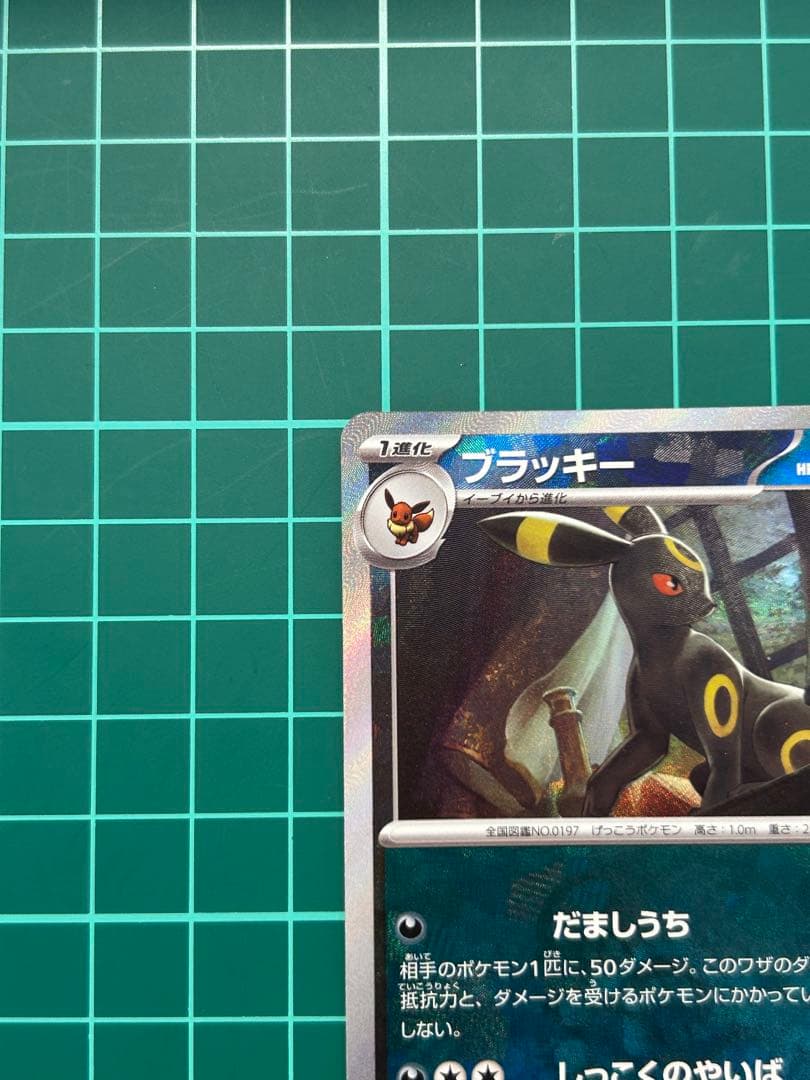 ブラッキー　マスターボールミラー