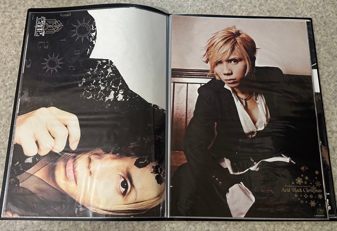 Acid Black Cherry ポスター　35種セット