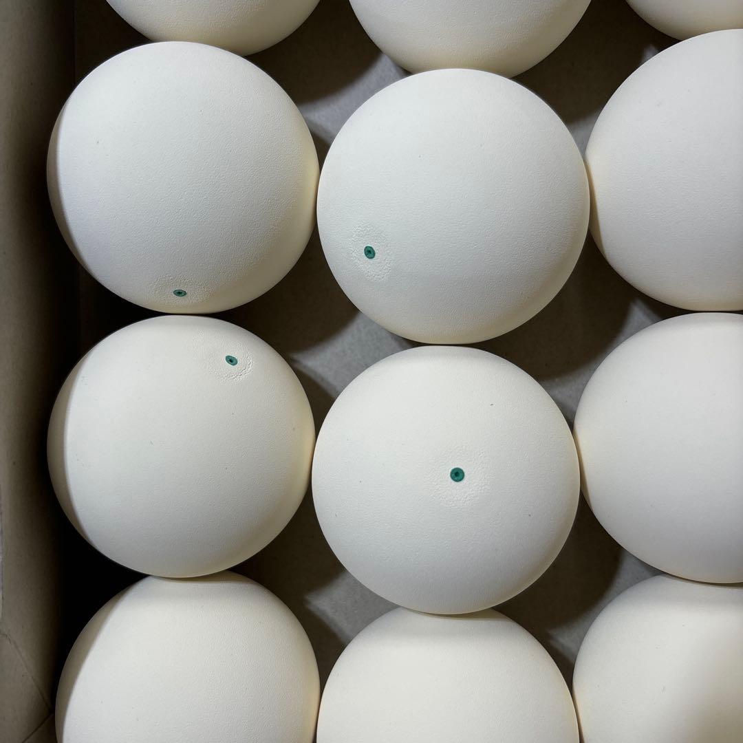 【早い者勝ち】ソフトテニス ボール 40球 新品