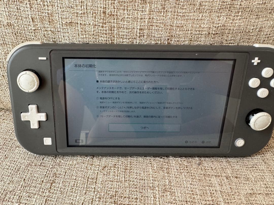 最終価格　Nintendo Switch Lite グレー 本体　本体のみ