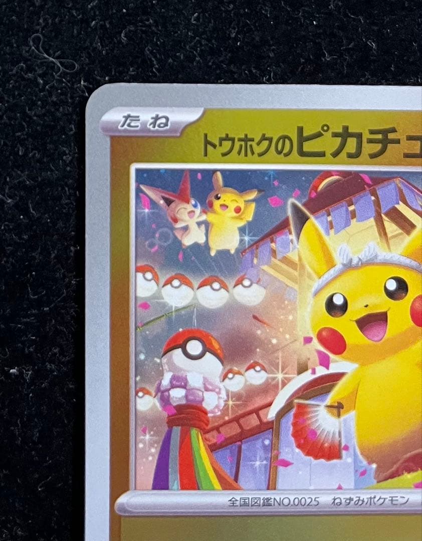 トウホクのピカチュウ　①