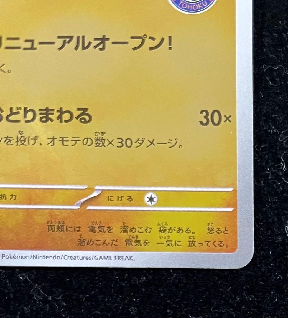 トウホクのピカチュウ　①