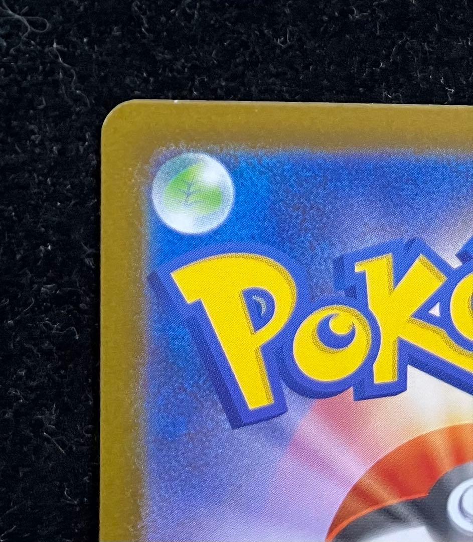 トウホクのピカチュウ　①