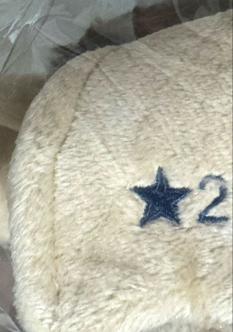 BAYFLOW限定 ギズモ ぬいぐるみ ブラウン　⭐︎ 25cm グレムリン