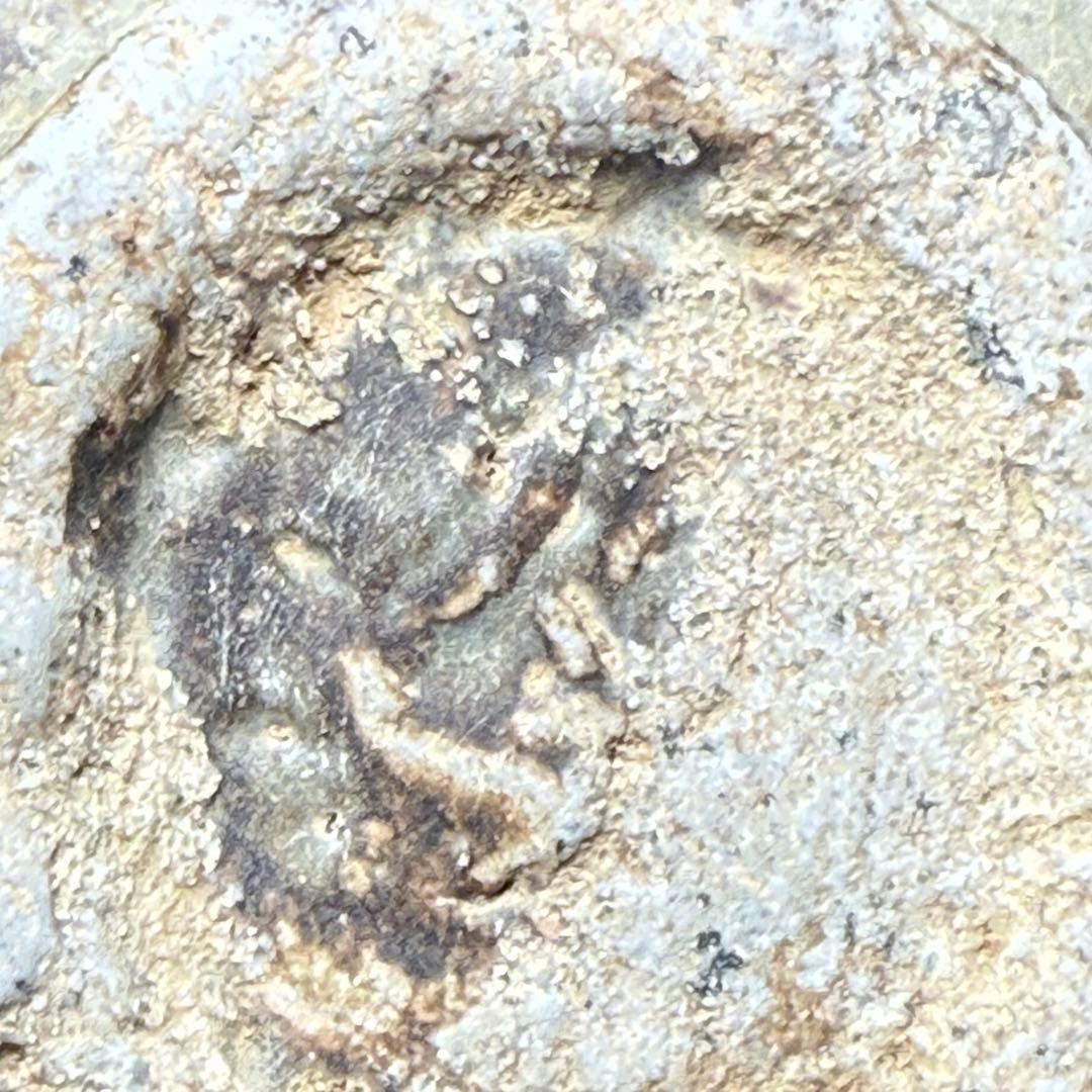 李朝　粉青沙器水滴　象嵌　印花　灰釉薬　朝鮮美術　珍品　古美術　李朝コレクター