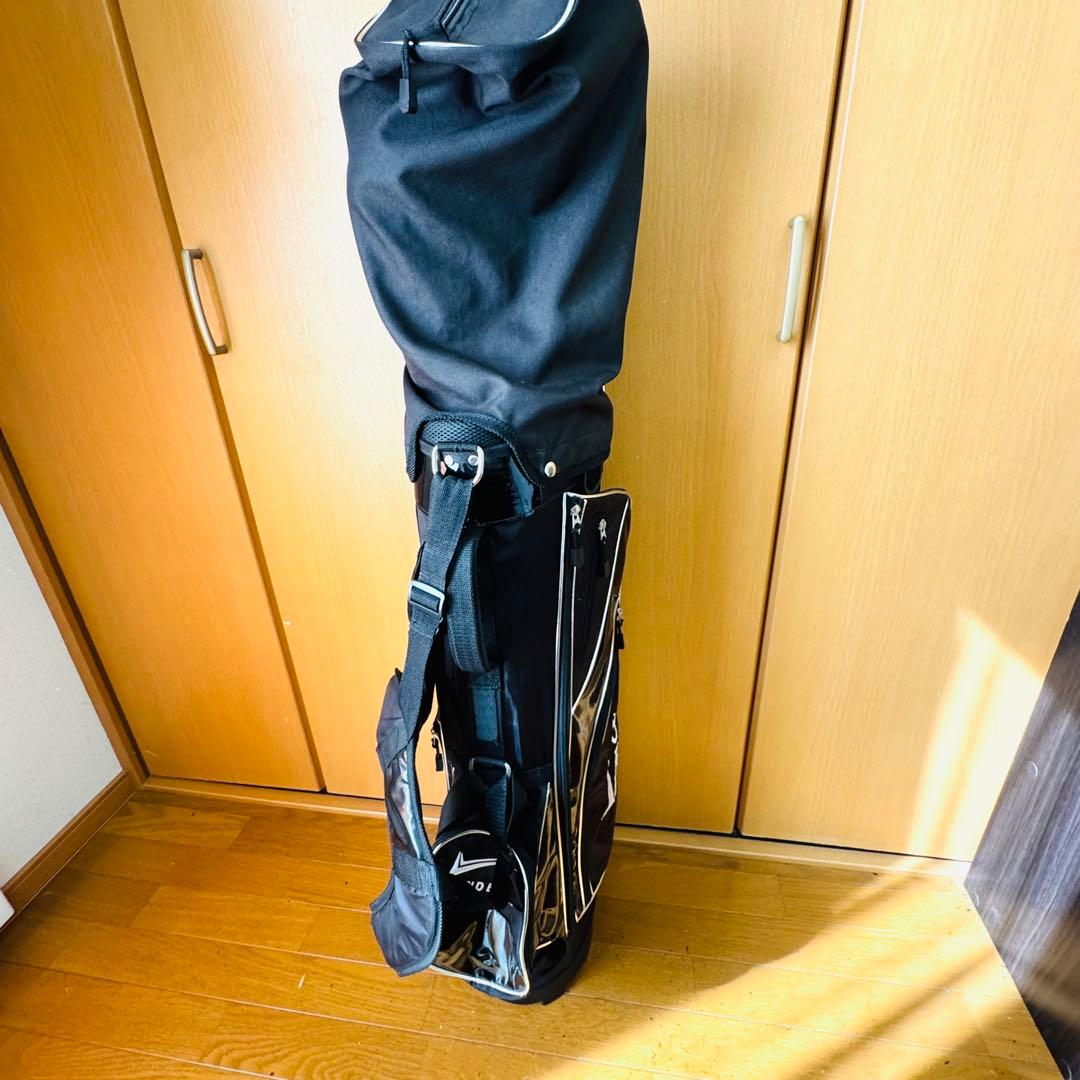 【美品】ワールドイーグル　F-01α ツアーステージ　ゴルフセット10本セット