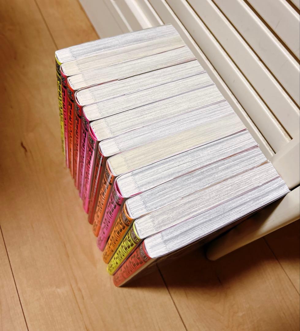 明日はどっちだ! ほんと野獣　山本小鉄子