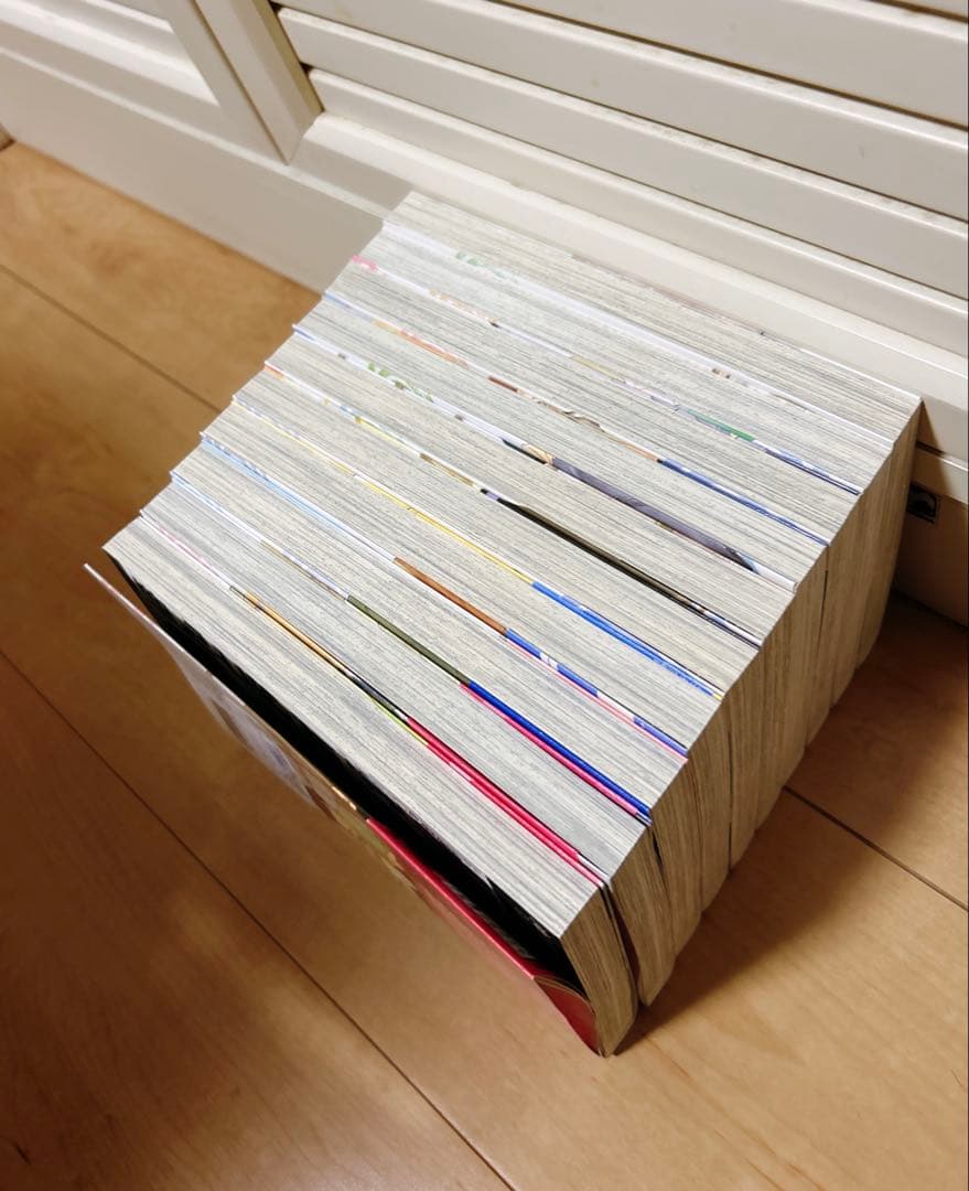 明日はどっちだ! ほんと野獣　山本小鉄子