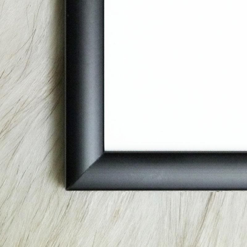 額装品/Sur La Pointe/フィリップ ネルソン