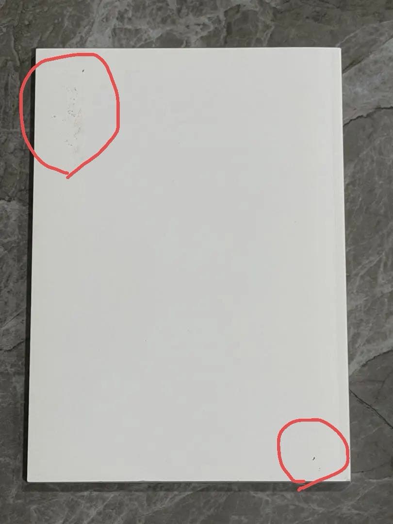 大林直行 写真集 おひか