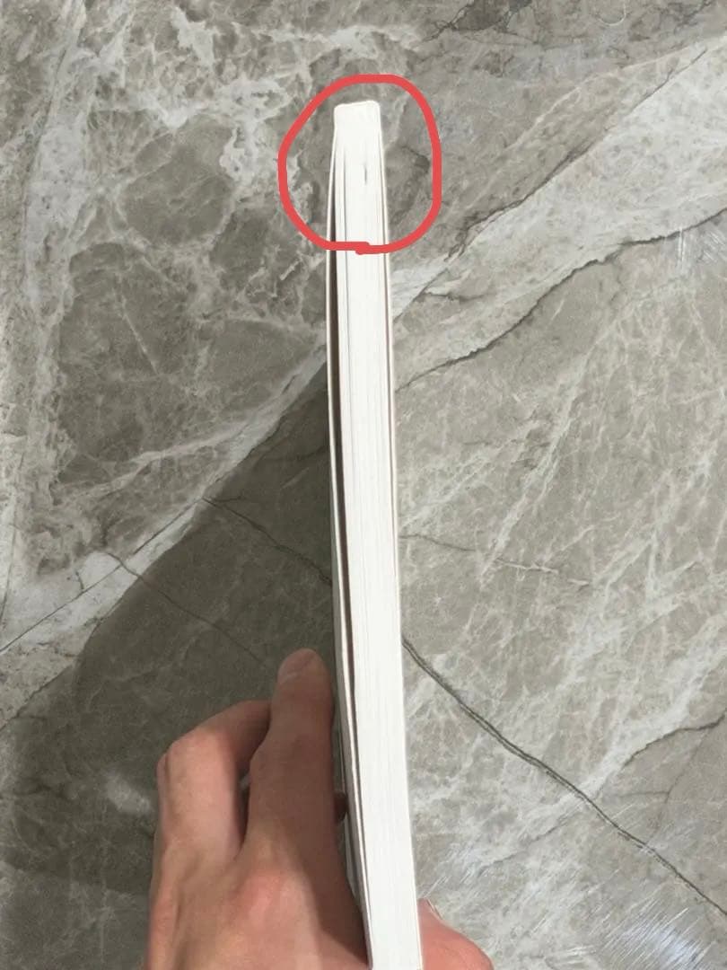 大林直行 写真集 おひか