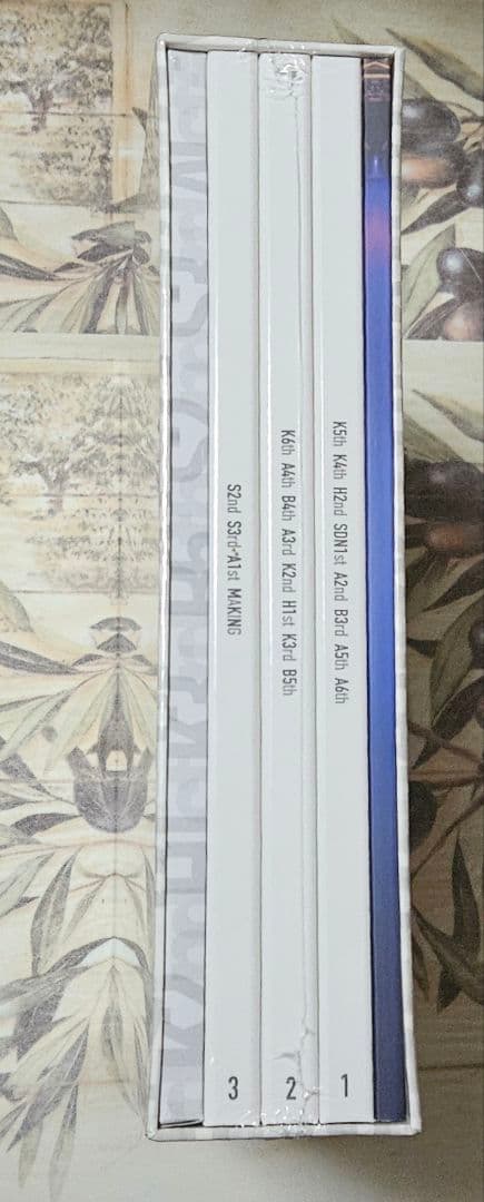 見逃した君たちへ AKB48グループ全公演 スペシャルBOX DVD