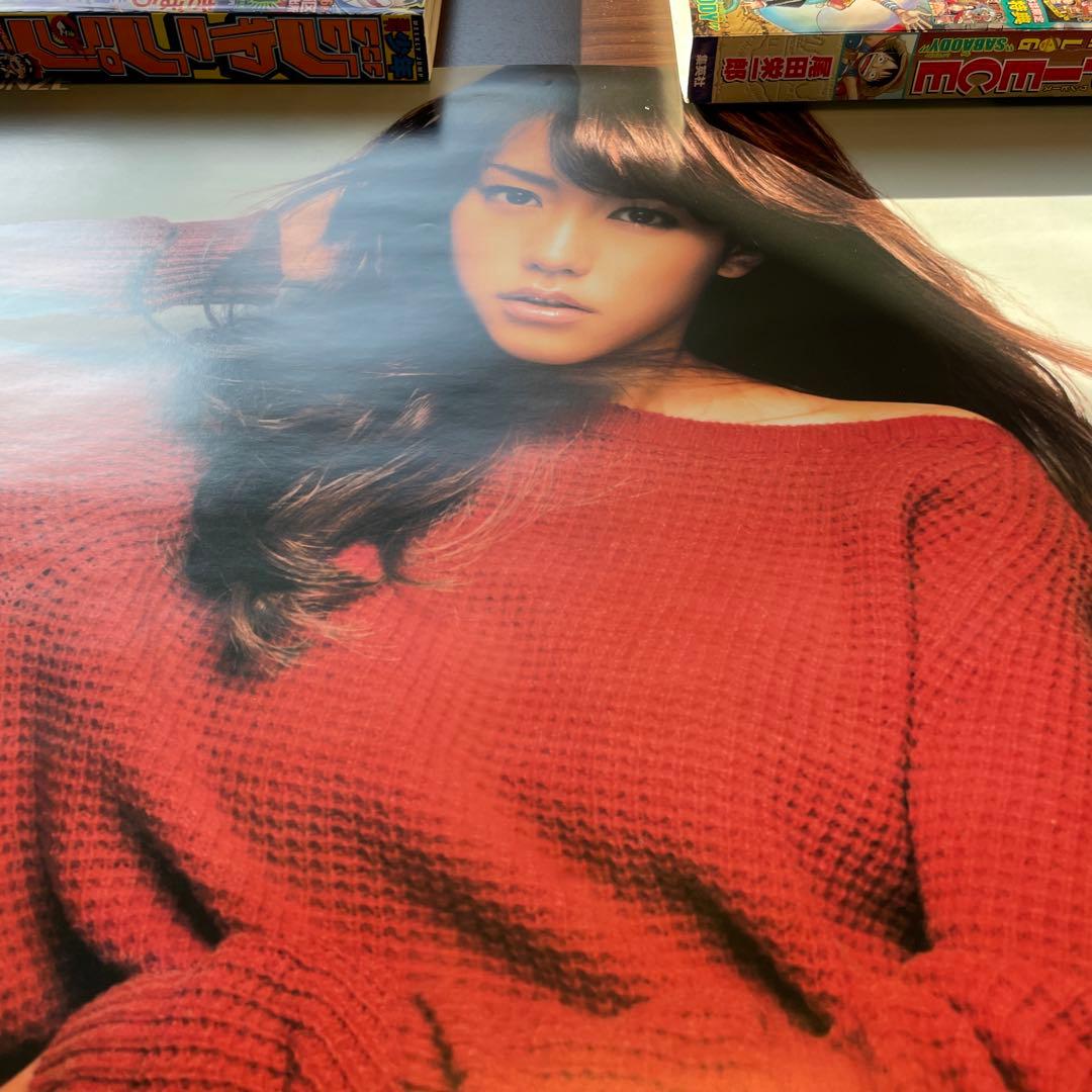 桐谷美玲　BODYWILD B2ポスター　非売品