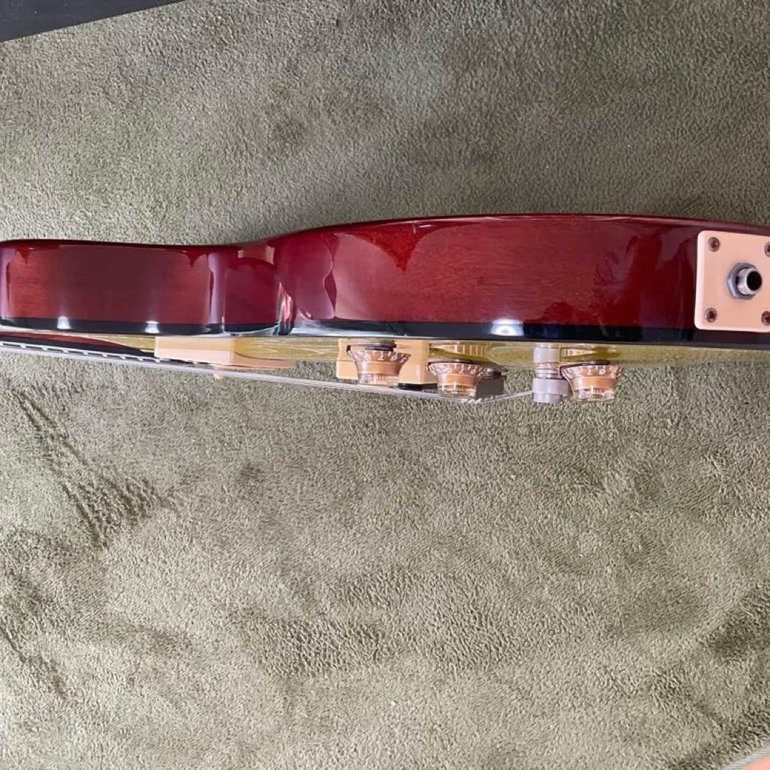 Epiphone Tak DC Goldtop ハードケース付き