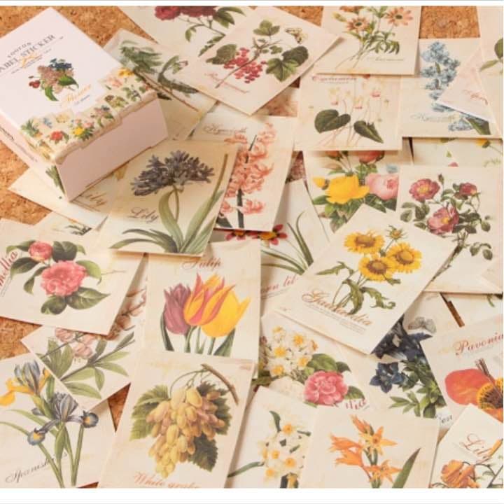 箱入りヴィンテージラベルステッカー お花  ￥500