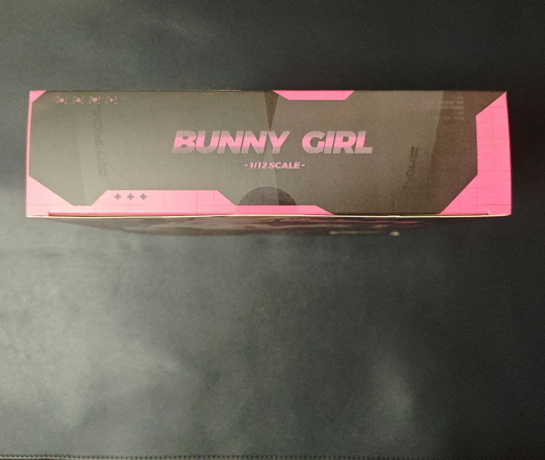 蝸之殻 アイリン バニーガール 新品未開封