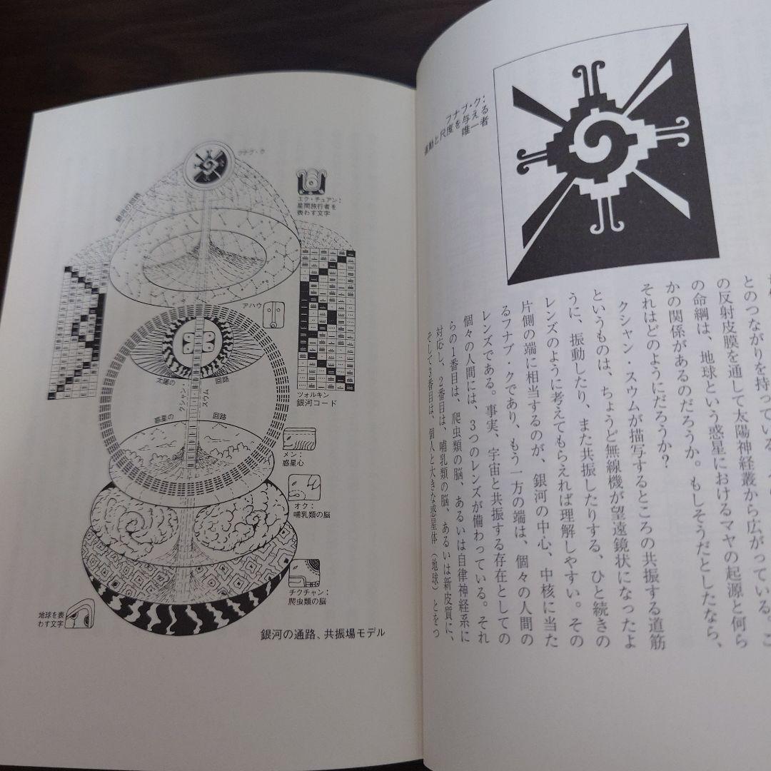 マヤン・ファクター テクノロジーを超えた道