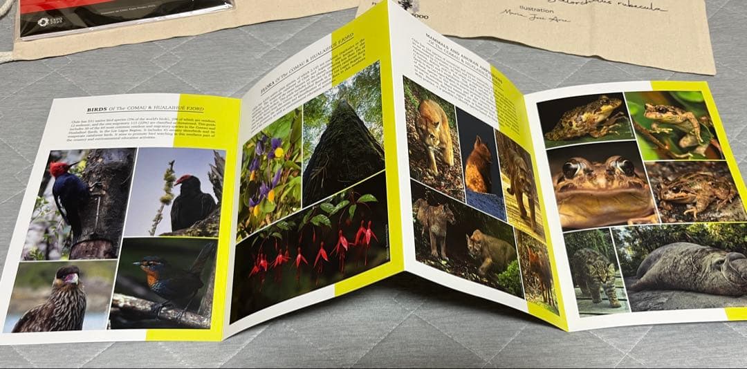 大阪関西万博　チリ　ノベルティセット　トートバッグ　ナップサック　ノート　ペン等