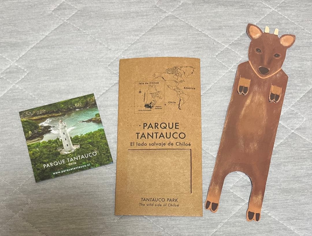 大阪関西万博　チリ　ノベルティセット　トートバッグ　ナップサック　ノート　ペン等