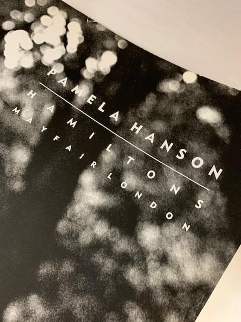 額装品/Veronica/パメラ ハンソン