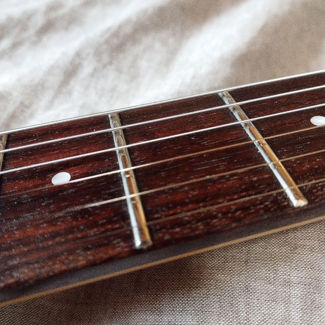 FERNANDES FR-55 FRT-8 フェルナンデスリボルバー