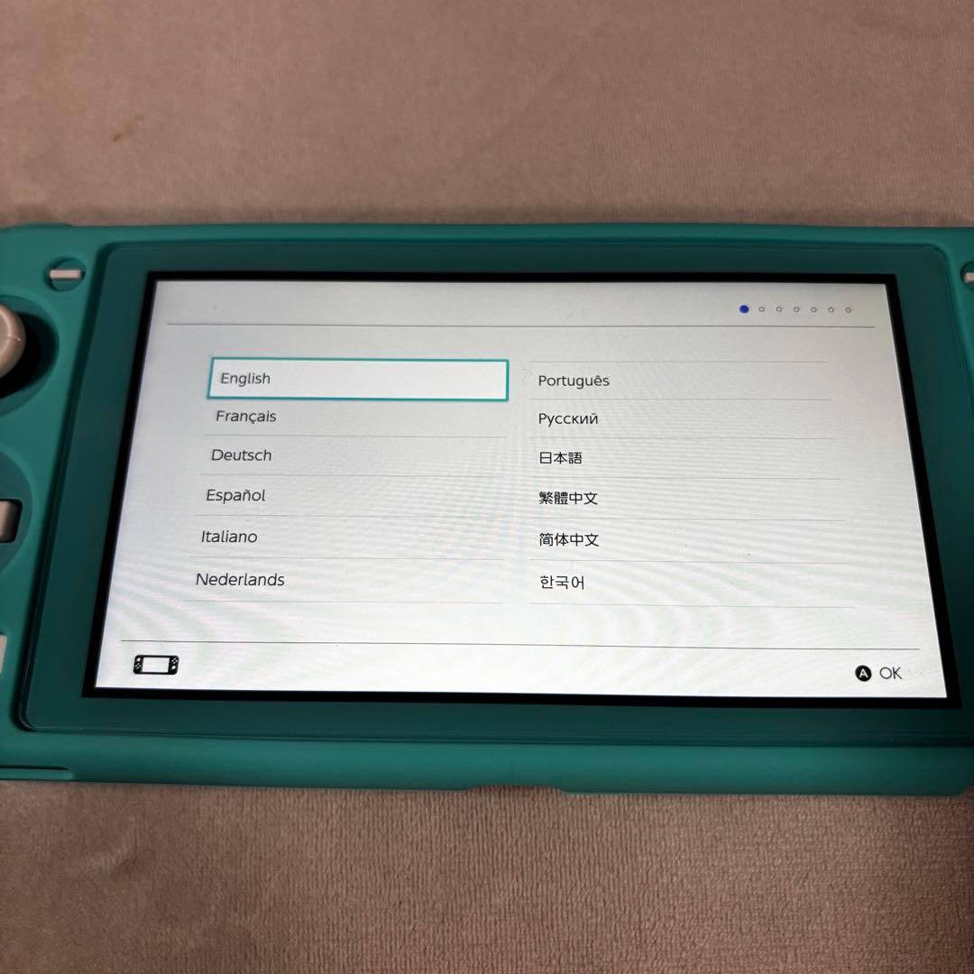 Nintendo Switch Lite ターコイズ　ケース付