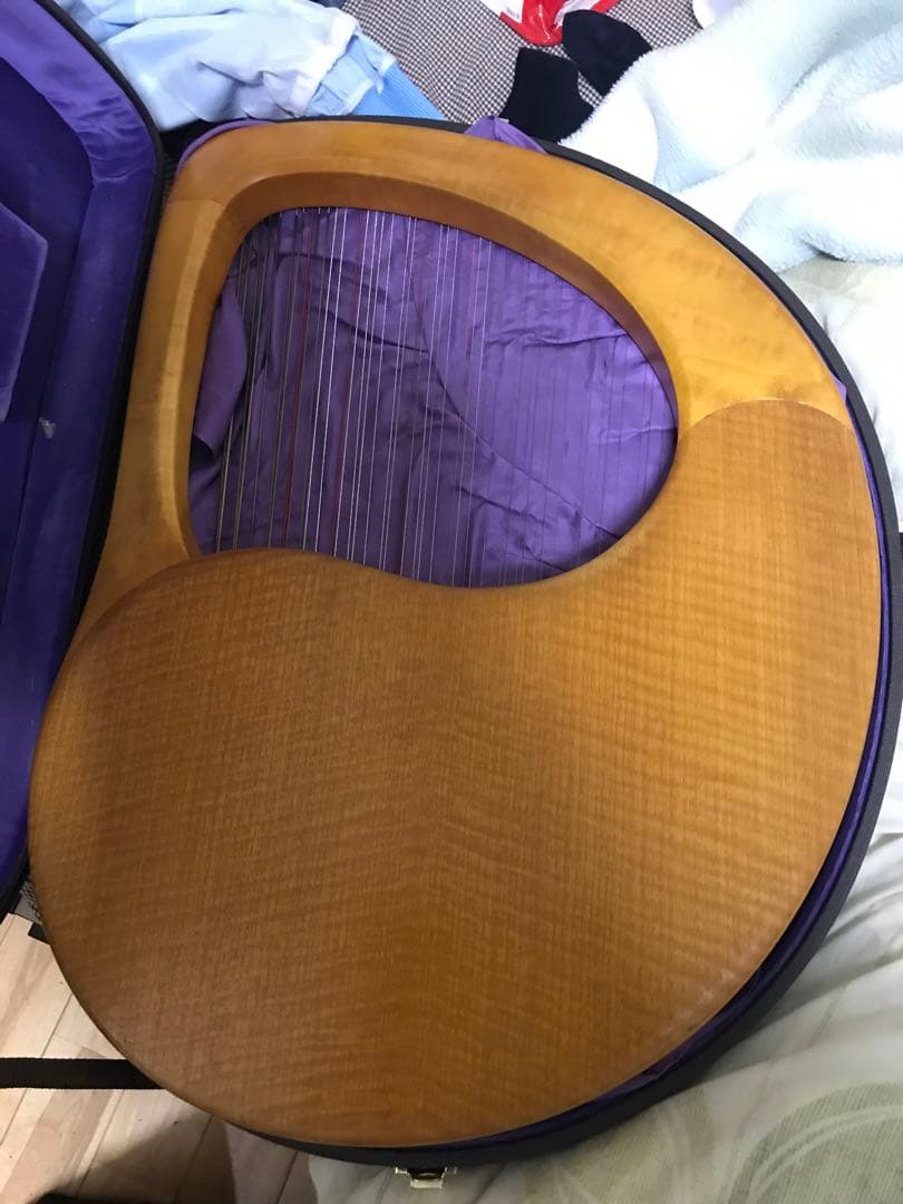 最終値下げ　19日発送　ゲルトナーテノーラライアー46弦