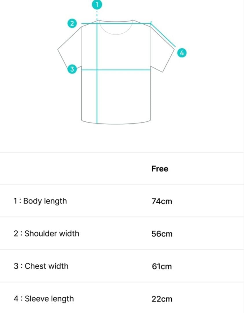 LE SSERAFIM SPAGHETTI カズハ Tシャツ 半袖