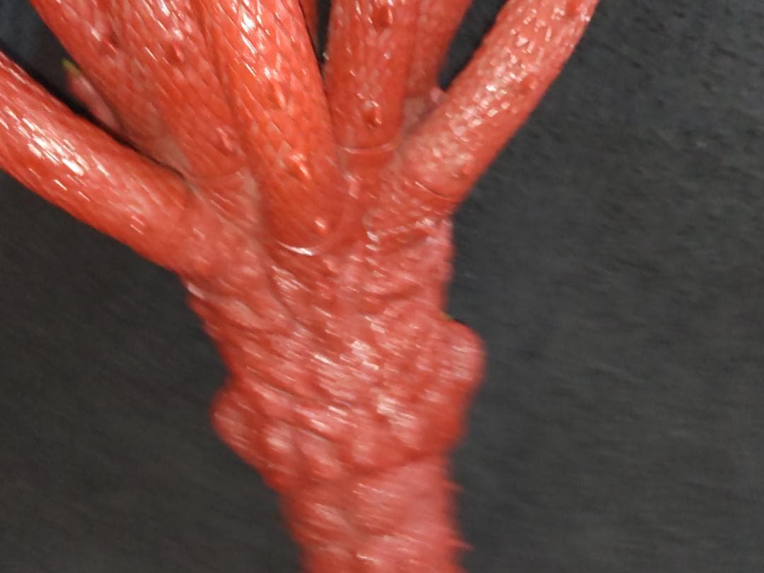 年末特価 ヤマタノオロチ 中古 バンダイ製　映画ヤマトタケル ／ 八岐大蛇 23