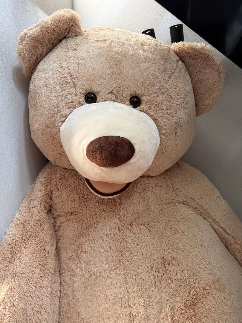 コストコ くま ぬいぐるみ 236cm 93インチ