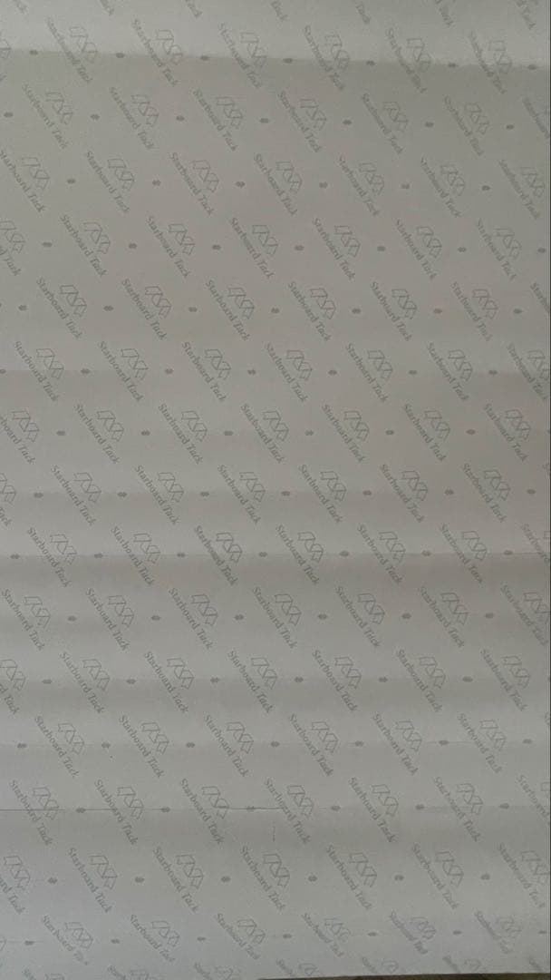 激レア 2005 Supreme Ghostface Raekwon ポスター