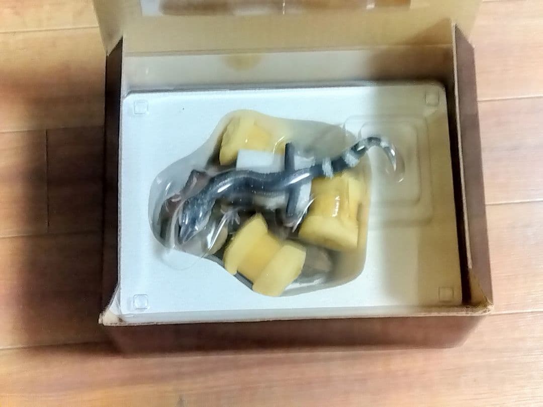 海洋堂　クロイワトカゲモドキ