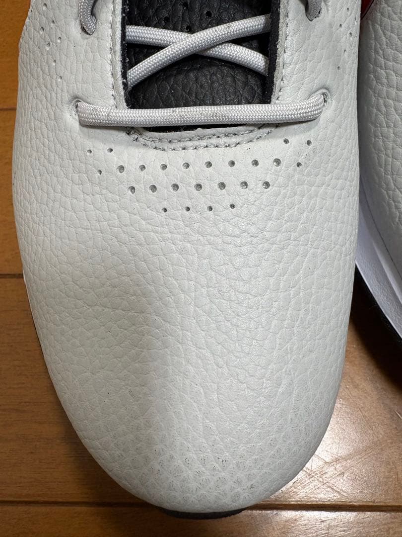 NIKE ナイキ ゴルフシューズ ビクトリー プロ 3 サイズ9.5