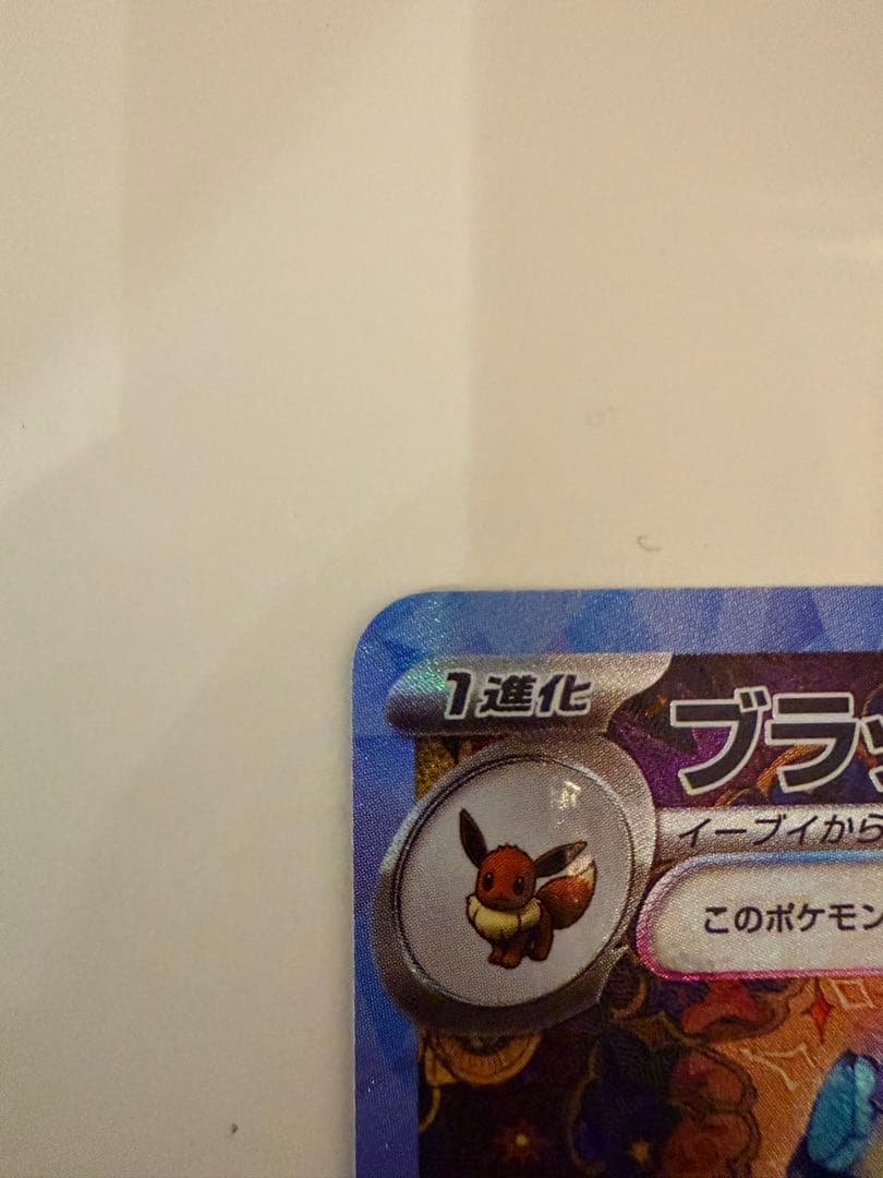 ブラッキーex SAR SV8a テラスタルフェスex 217/187 極美品