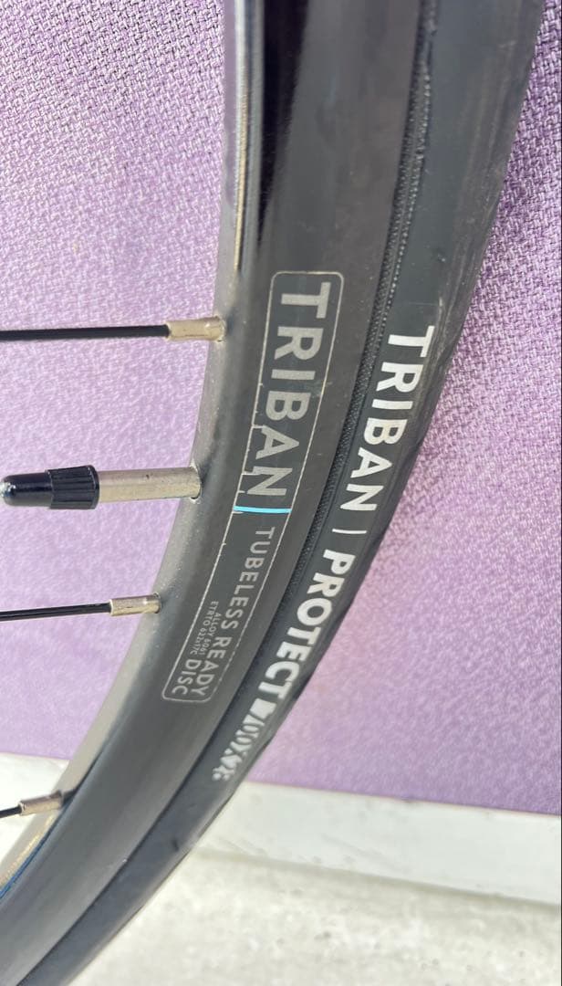 Van Rysel RC120 ディスク ロード バイクTriban RC120