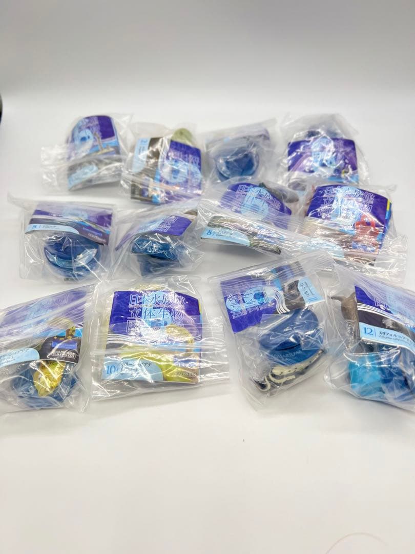 日本水族館立体生物図録6