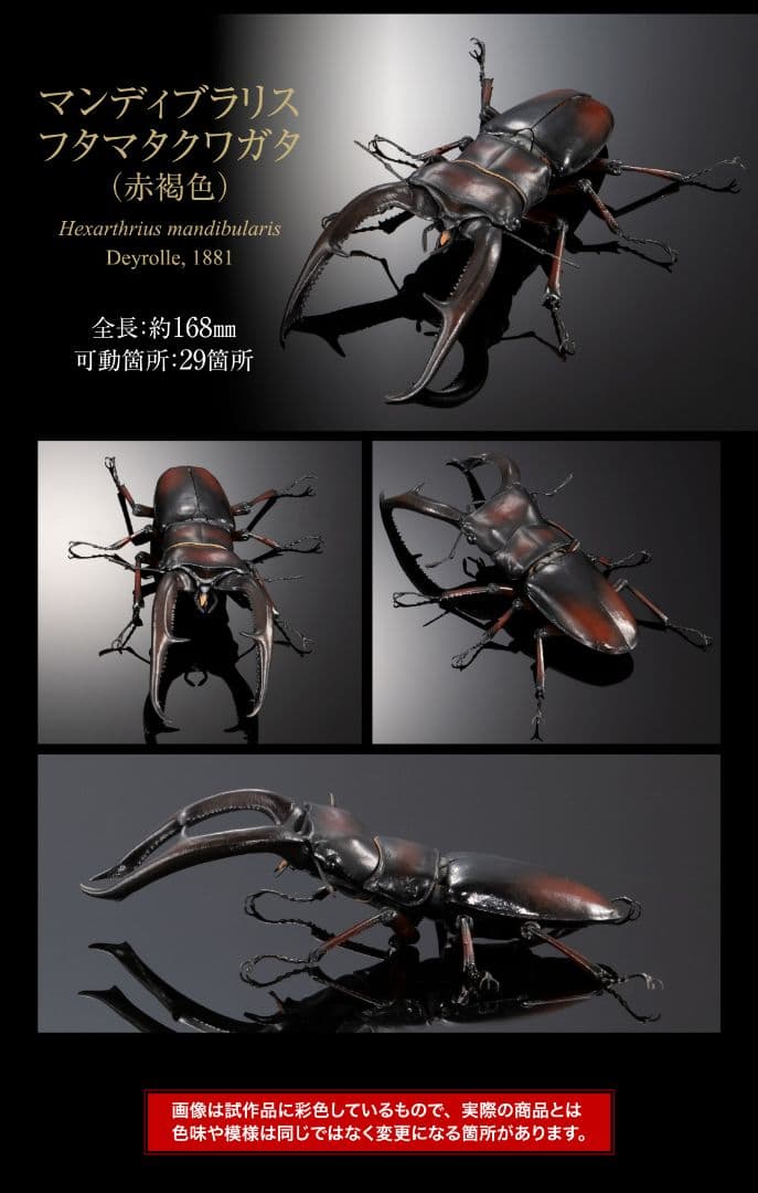 ギラファノコギリクワガタとマンディブラリスフタマタクワガタ オンライン限定全4種